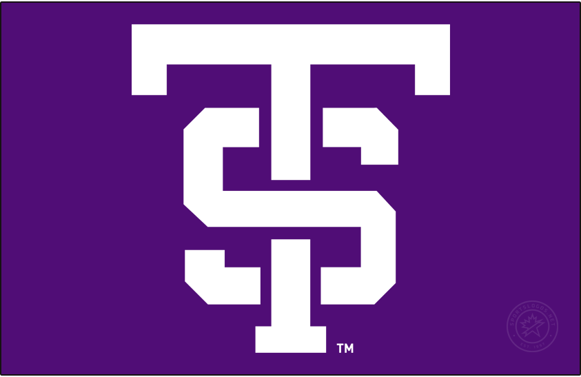 St. Thomas Tommies 2021-Pres Alt on Dark Logo diy DTF decal sticker